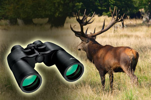 Luger Binoculars