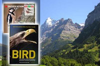 Birds  (Ornithology)