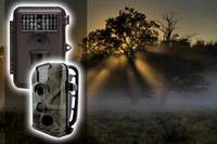 Surveillance Cameras