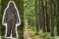 Camouflage and Concealment