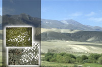 Observation Hides & Camouflage Netting