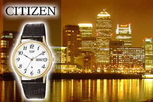Citizen Quartz Eco-Drive Watches