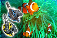 Scuba Diving Equipment