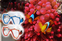 Diving Masks