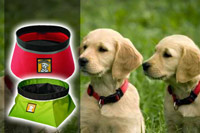 Pet Products