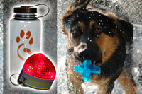 Pet Safety Accessories