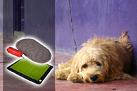 Pet Beds