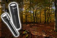 Gerber Torches & Flashlights