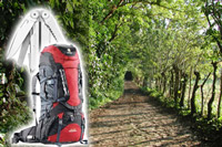 7. Gift Ideas £80-£150