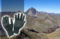 Glove Liners