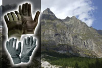 Military & Security Gloves