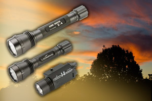 Ledwave Torches