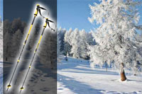Ski Poles