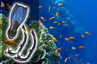 Snorkelling