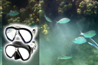 Snorkel Masks & Goggles