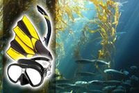 Snorkel Sets