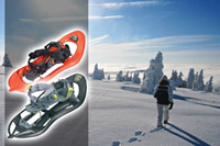 Snowshoes