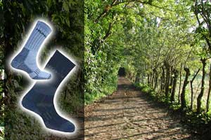 Hiking & Trekking Socks
