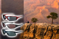 Sunwise Sunglasses