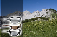 Uvex Sunglasses