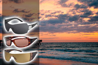 Bolle Fusion Sunglasses