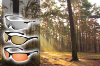 Bolle Performance Sunglasses
