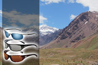 Bolle Sunglasses