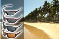 Cebe Sunglasses