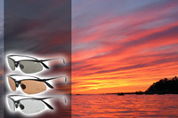 Polarised Sunglasses