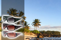 BLOC Fashion Sunglasses