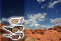 Serengeti Sunglasses