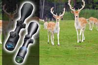 Rifle Scopes