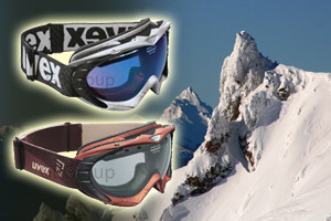 Uvex Ski Goggles