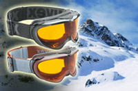 Uvex Optic Ski Goggles