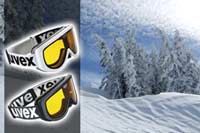 Uvex Racing Ski Goggles