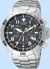 Citizen Perpetual Calendar Watches