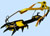Crampons