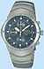 Seiko Titanium Watches