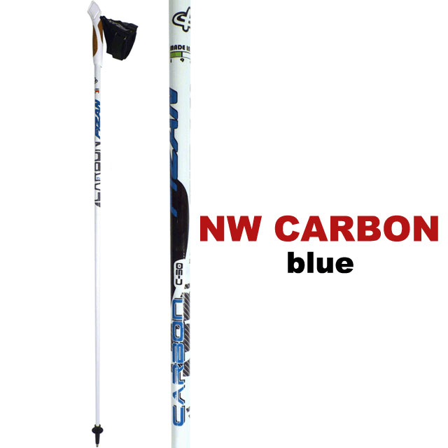 Fizan NW Carbon Nordic Walking Pole