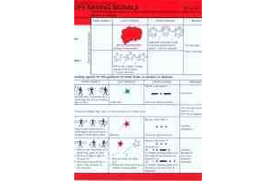 Life-Saving Signals And Rescue Methods (solas No. 2) (reference Card)