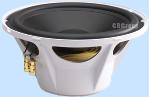 10 inch 400 Watt Waterproof Subwoofer