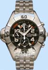 Quantum Z940b Diving Metal Watch