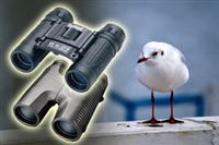 Compact Binoculars