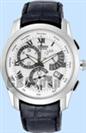 Citizen Perpetual Calendar Watches