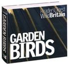 Wildlife: birds & birdwatching