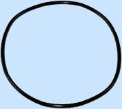 Sealife Main O-Ring