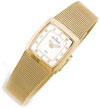 Skagen 380XSGG1 Ladies' Steel Watch