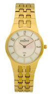 Skagen 433SGXG Ladies' Steel Watch