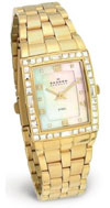 Skagen 527SGXG Ladies' Steel Watch