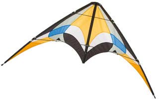 Salsa II Allround Sportkite